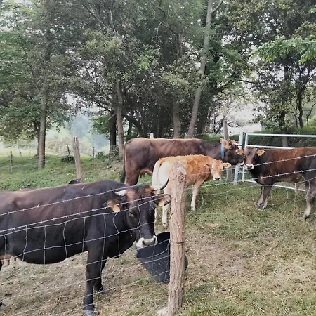 Erlete Goikoa -estamos En El Camino De Santiago -we Are On The Camino De Santiago Deba