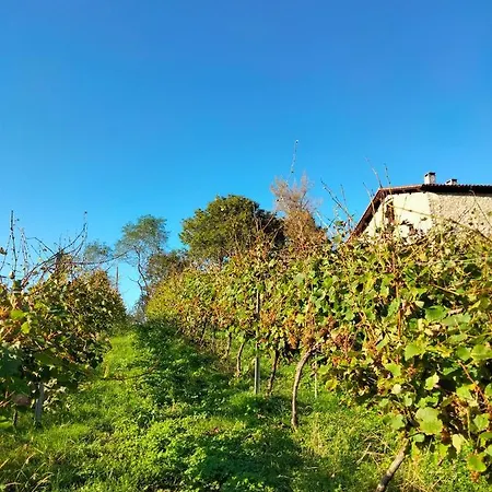 Erlete Goikoa -estamos En El Camino De Santiago -we Are On The Camino De Santiago