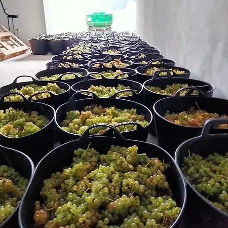 Erlete Goikoa -estamos En El Camino De Santiago -we Are On The Camino De Santiago Country house