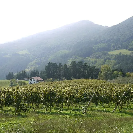 Erlete Goikoa -estamos En El Camino De Santiago -we Are On The Camino De Santiago Εξοχικό σπίτι