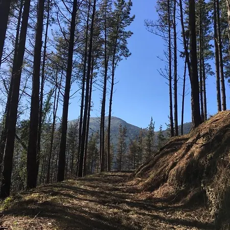 Erlete Goikoa -estamos En El Camino De Santiago -we Are On The Camino De Santiago * ديبا