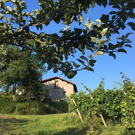 Erlete Goikoa -estamos En El Camino De Santiago -we Are On The Camino De Santiago