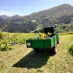 Séjour à la campagne Erlete Goikoa -estamos En El Camino De Santiago -we Are On The Camino De Santiago- Senderismo-rutas Y Bicicleta