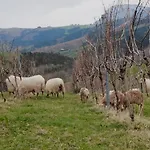 Séjour à la campagne Erlete Goikoa -estamos En El Camino De Santiago -we Are On The Camino De Santiago- Senderismo-rutas Y Bicicleta *