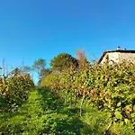 Erlete Goikoa -estamos En El Camino De Santiago -we Are On The Camino De Santiago- Senderismo-rutas Y Bicicleta
