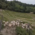 Erlete Goikoa -estamos En El Camino De Santiago -we Are On The Camino De Santiago- Senderismo-rutas Y Bicicleta