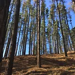 Erlete Goikoa -estamos En El Camino De Santiago -we Are On The Camino De Santiago- Senderismo-rutas Y Bicicleta *