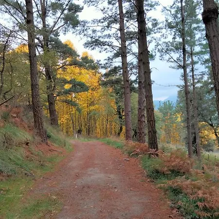 컨트리하우스 Erlete Goikoa -estamos En El Camino De Santiago -we Are On The Camino De Santiago- Senderismo-rutas Y Bicicleta 데야