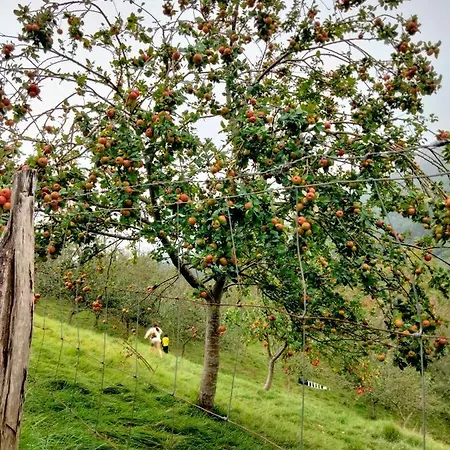 Country house Erlete Goikoa -estamos En El Camino De Santiago -we Are On The Camino De Santiago *