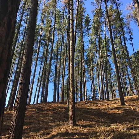 Erlete Goikoa -estamos En El Camino De Santiago -we Are On The Camino De Santiago *