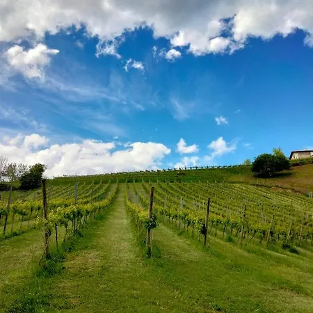 Erlete Goikoa -estamos En El Camino De Santiago -we Are On The Camino De Santiago *