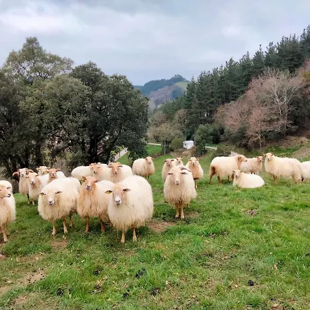 Landsted Erlete Goikoa -estamos En El Camino De Santiago -we Are On The Camino De Santiago Deba