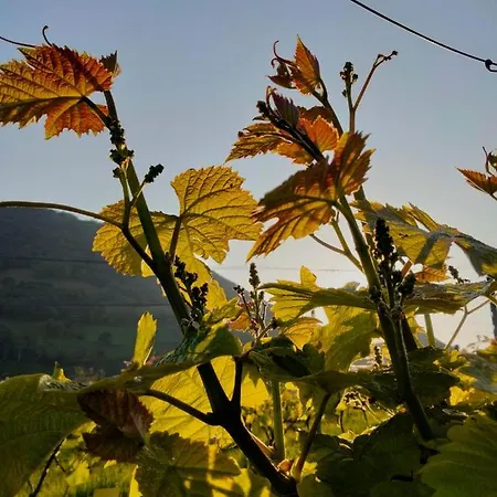 Erlete Goikoa -estamos En El Camino De Santiago -we Are On The Camino De Santiago