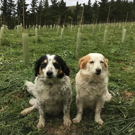 Landsted Erlete Goikoa -estamos En El Camino De Santiago -we Are On The Camino De Santiago *