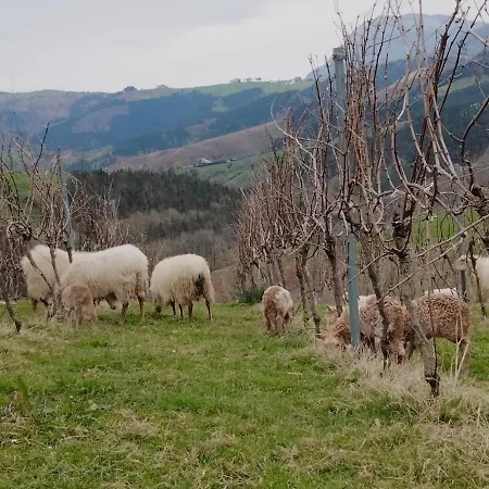 Landsted Erlete Goikoa -estamos En El Camino De Santiago -we Are On The Camino De Santiago *