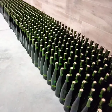 Landsted Erlete Goikoa -estamos En El Camino De Santiago -we Are On The Camino De Santiago *