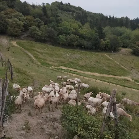 Erlete Goikoa -estamos En El Camino De Santiago -we Are On The Camino De Santiago