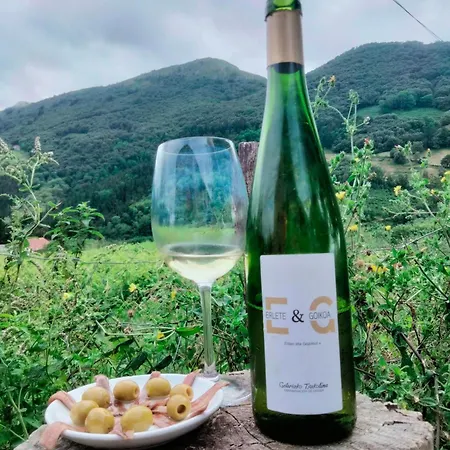 Erlete Goikoa -estamos En El Camino De Santiago -we Are On The Camino De Santiago *