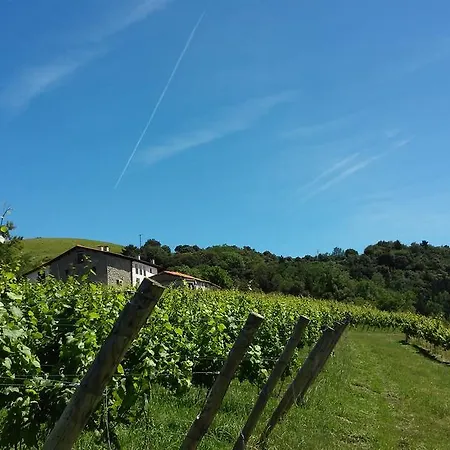 Erlete Goikoa -estamos En El Camino De Santiago -we Are On The Camino De Santiago Landsted *