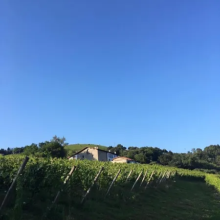 Erlete Goikoa -estamos En El Camino De Santiago -we Are On The Camino De Santiago Landsted