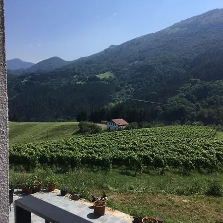 Erlete Goikoa -estamos En El Camino De Santiago -we Are On The Camino De Santiago Landsted Deba